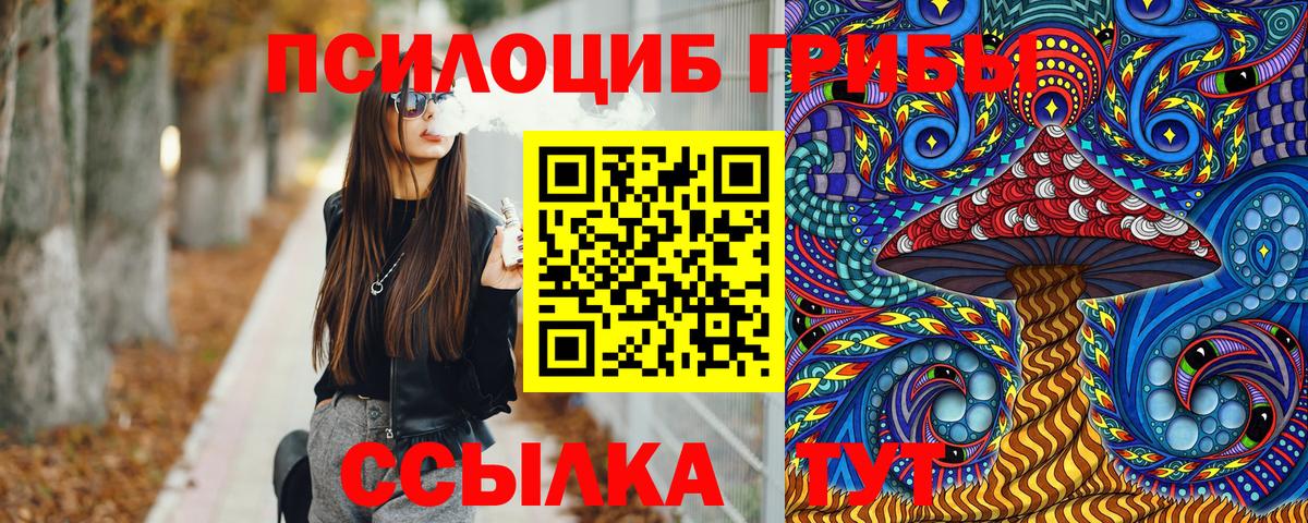 Галлюциногенные грибы прущие грибы Майкоп