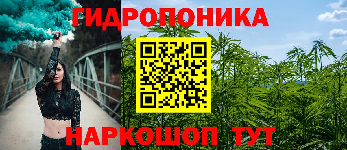 Бошки Шишки гибрид  Бошки Шишки семена  Бошки марихуана тримм  Майкоп  Вход с VPN  Канабис OG Kush 